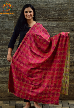 Hand Embroidered Kantha Dupatta - Red Beige